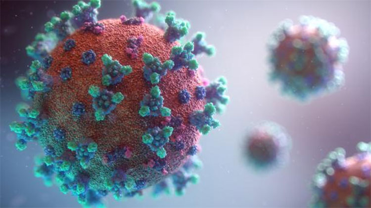 covid 19 cases increasing in few states of india 