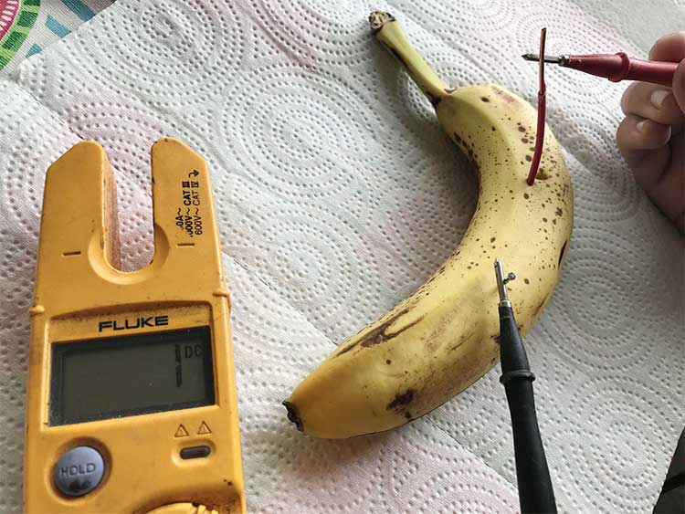 can we produce electricity from banana 