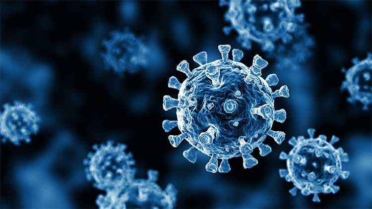 new covid variant in ap serious in 3 4 days 
