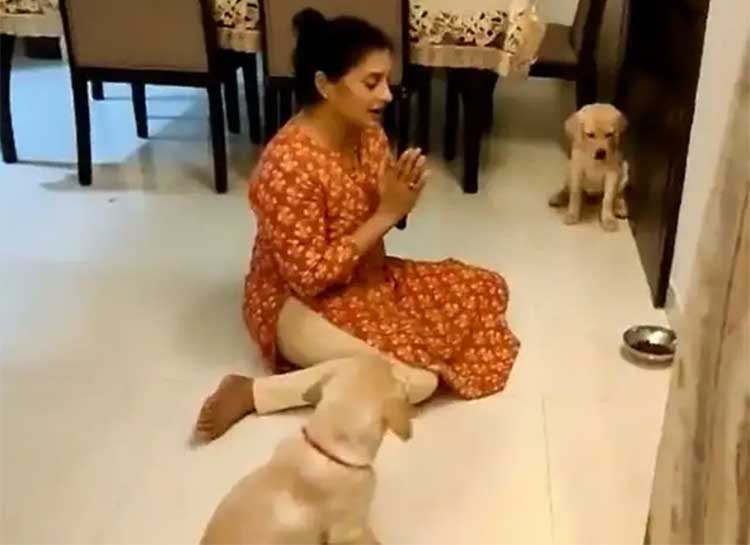 woman prayed with dogs before she put food to them viral video 