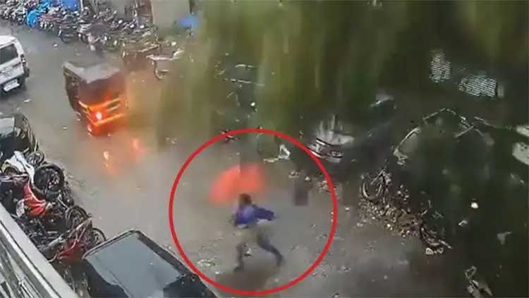 woman narrowly escaped from tree fall video 