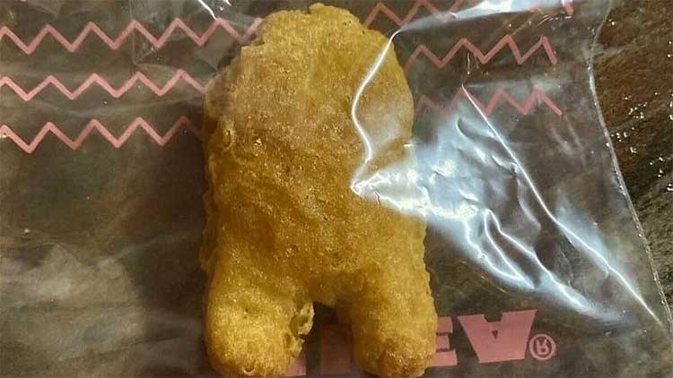 this chicken nugget sold for rs 73 lakhs know why 