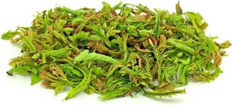 chintha chiguru prayojanalu 