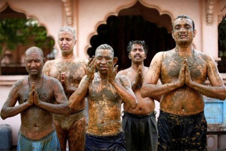 people believe cow dung can cure covid 19 