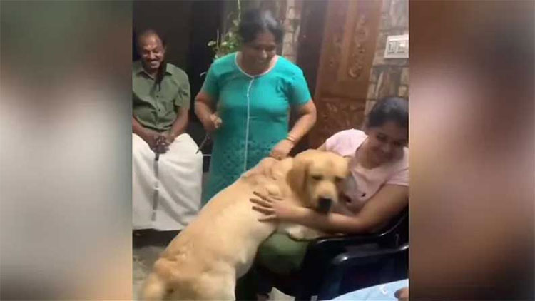 dog saved its owner from beaten by woman 