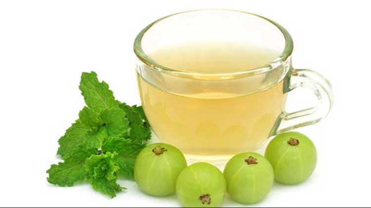 drink amla tea daily to control diabetes 