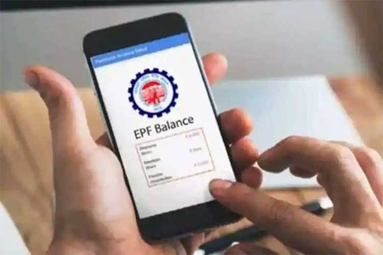 check your epfo balance in this way 