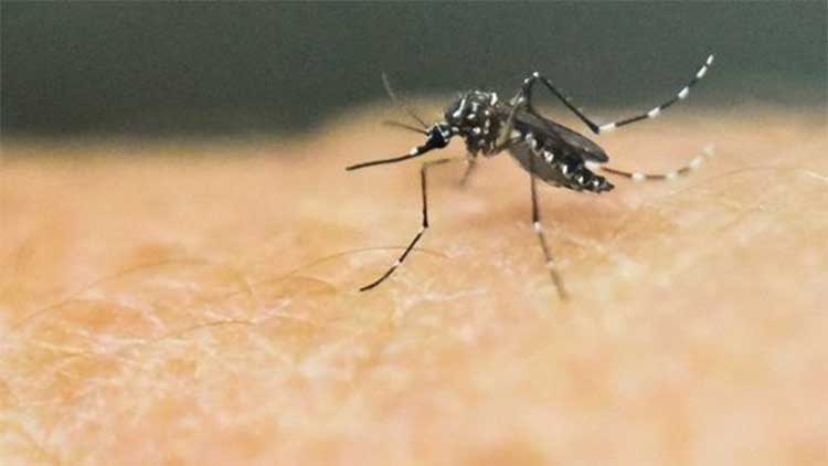 why mosquitoes bite some people only 