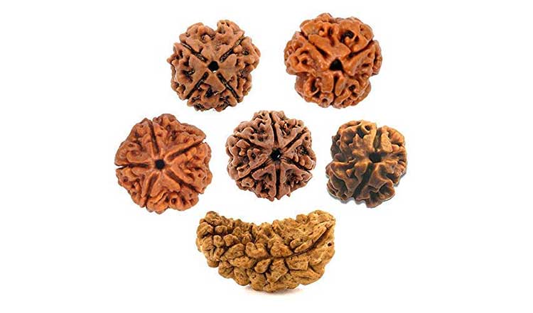 Rudraksha: which type of rudraksha will give which benefits 