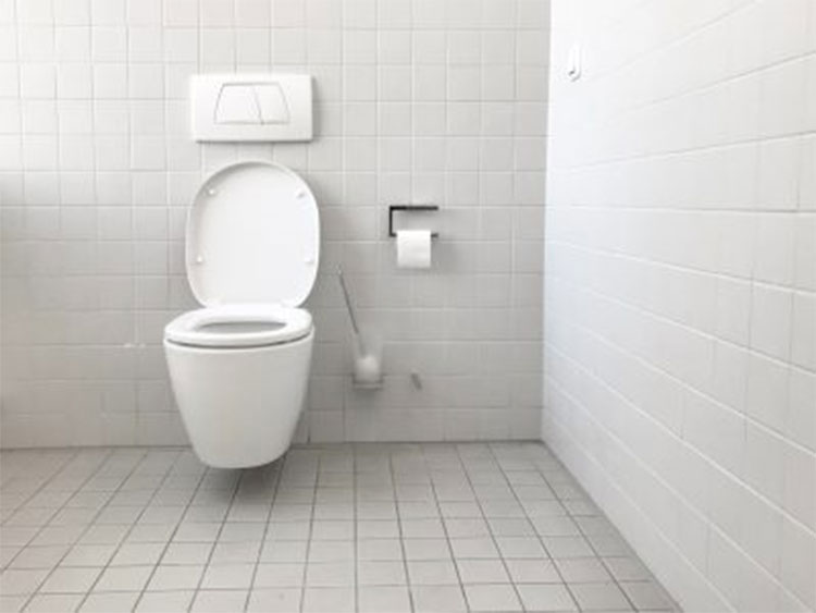 do you know why toilet seats are in white color 