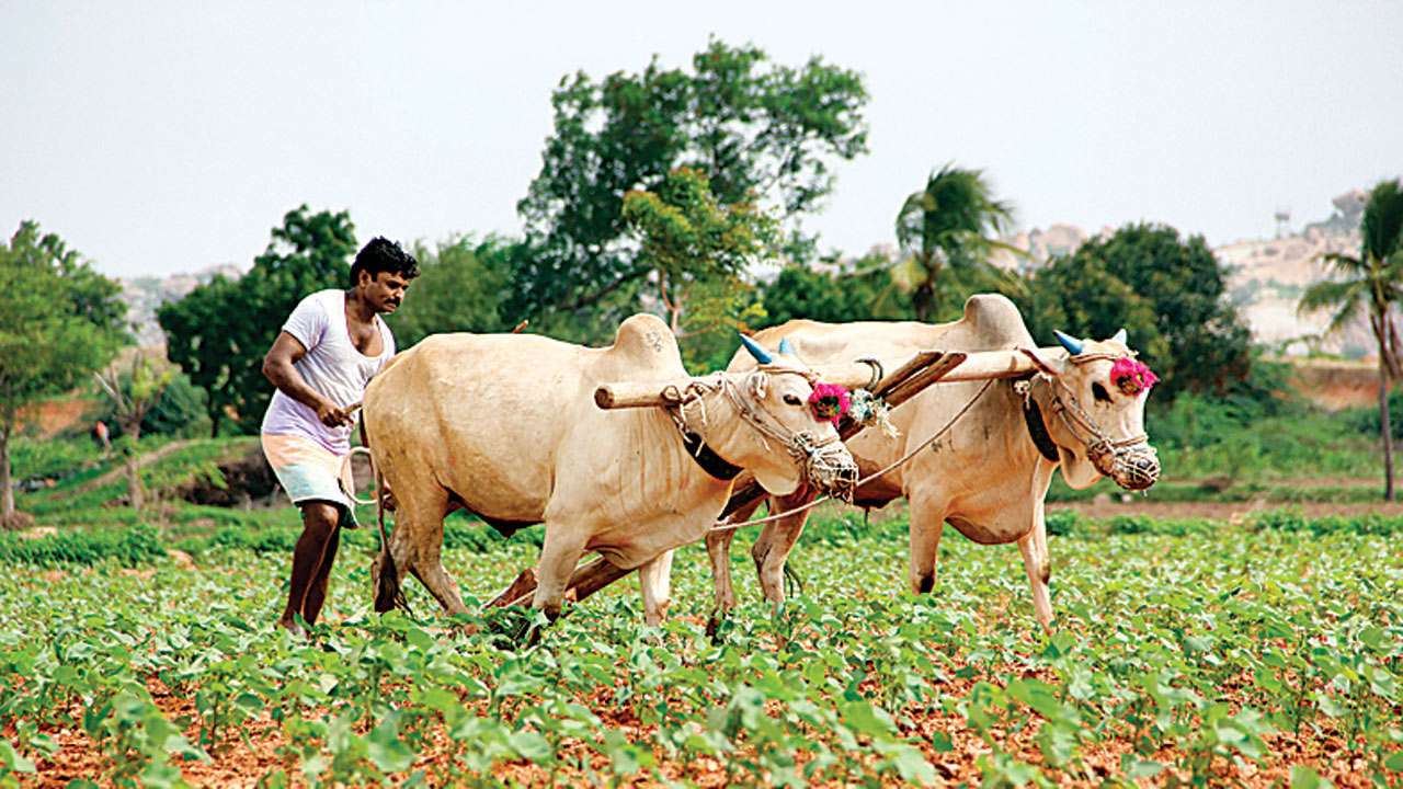 up to rs 50000 crop loans will be waived off in telangana 