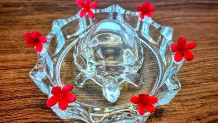 ఆర్దిక స‌మ‌స్య‌లు ఉన్నాయా ? ఇంట్లో తాబేలు బొమ్మ‌ను ఇలా ఉంచండి..!