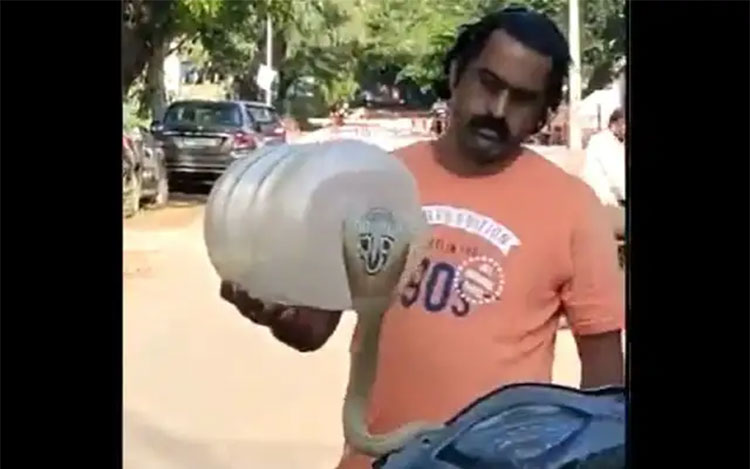 వామ్మో.. స్కూట‌ర్ హ్యాండిల్ నుంచి ఒక్క‌సారిగా బ‌య‌ట‌కు వ‌చ్చిన నాగుపాము.. చాలా తెలివిగా ప‌ట్టేసిన వ్య‌క్తి.. వైర‌ల్ వీడియో..!