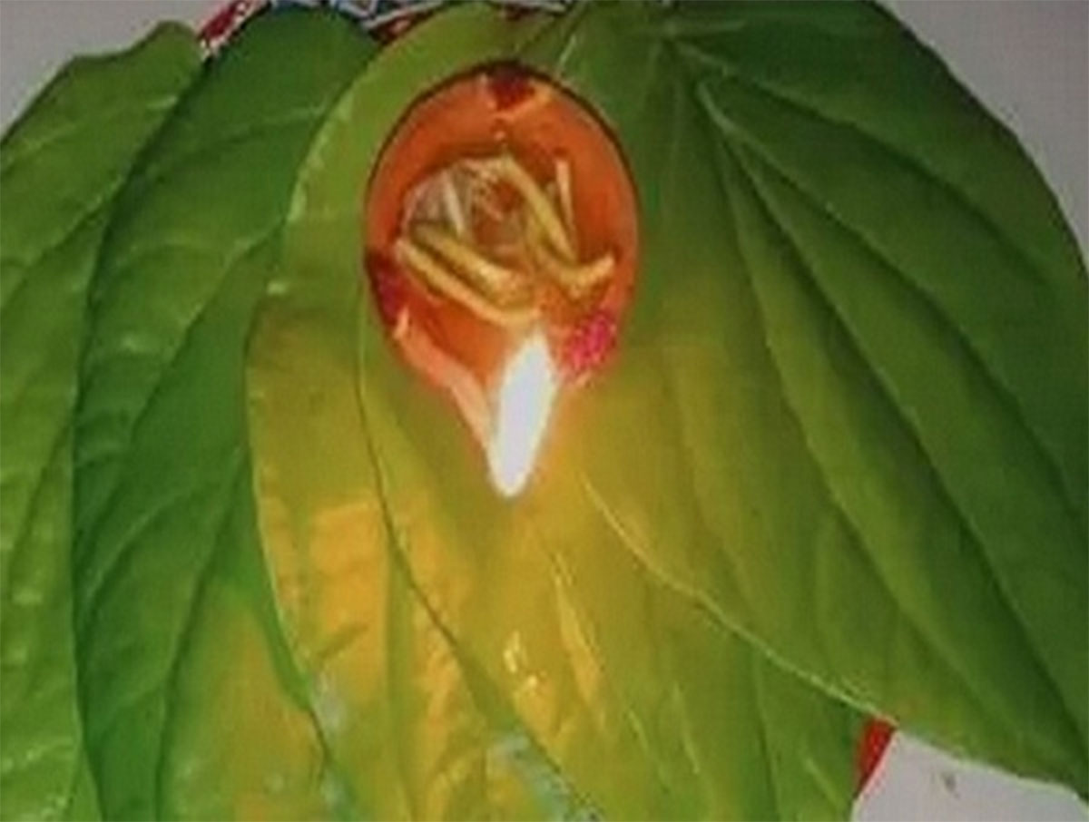 తమలపాకులపై దీపం వెలిగిస్తే ఎలాంటి కష్టాలు అయినా సరే పోతాయి.. ధనం లభిస్తుంది..!