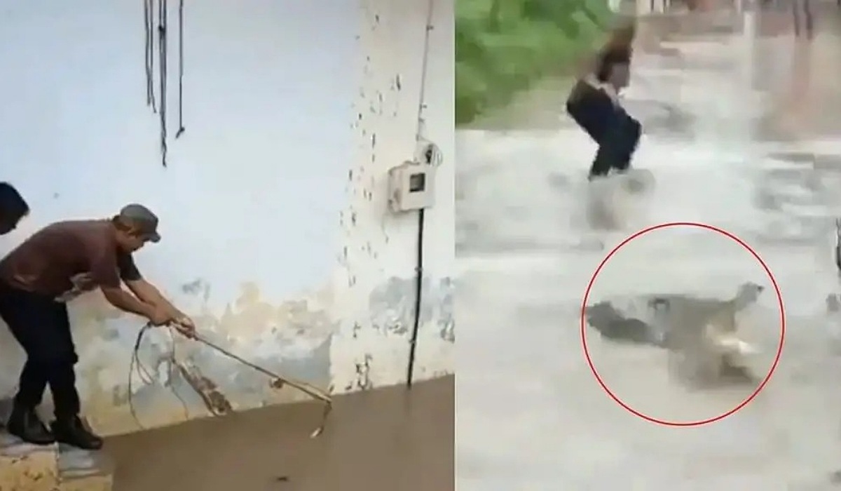 వీడియో వైరల్.. నీళ్లలో కదులుతున్న పెద్ద ఆకారం.. వలవేసి చూడగా షాక్ అయిన స్థానికులు..