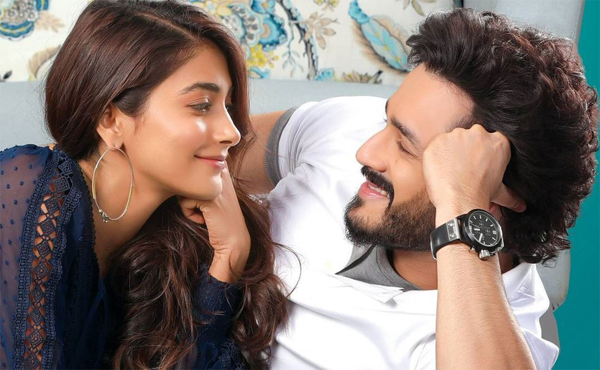 Akhil Akkineni is not happy though his movie is hit why 