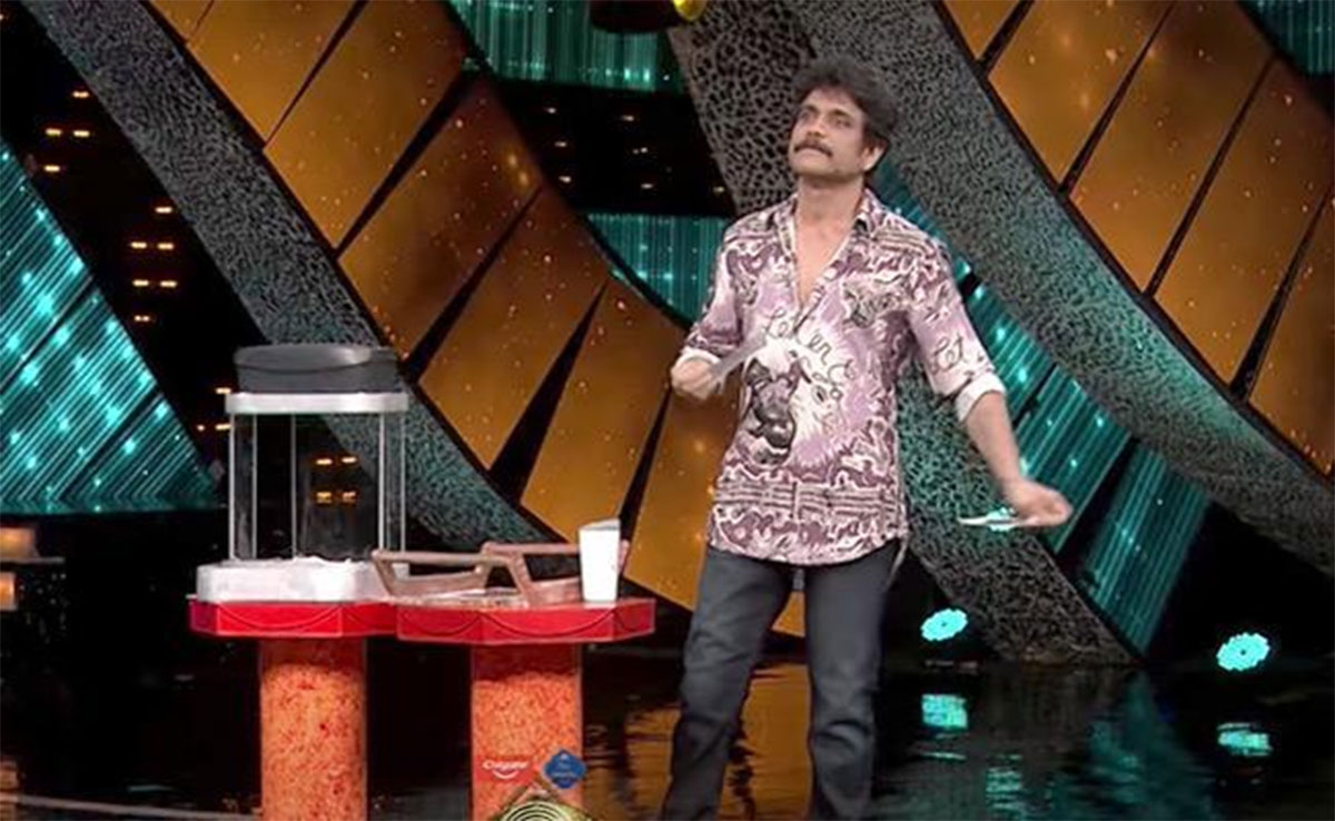 Bigg Boss 5  ani master said donkey to kajal 