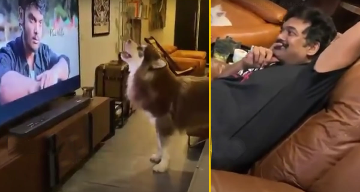 Puri Jagannadh laughing to charmme kaur dog reaction 