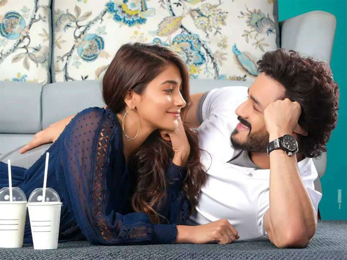Most Eligible Bachelor first day collections 