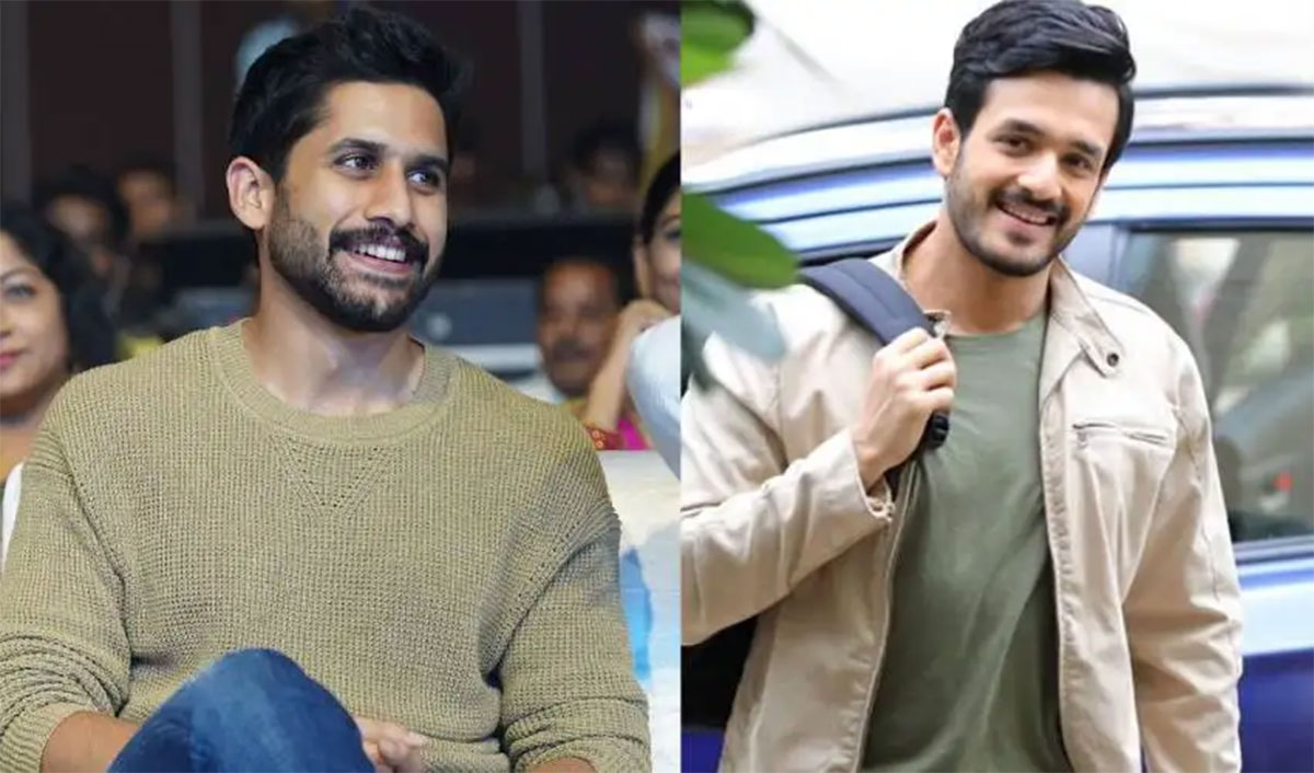 Naga Chaithanya made interesting comment on akhil 