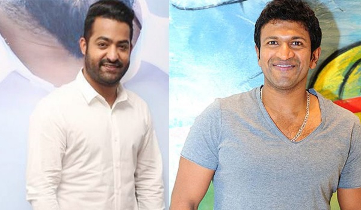 Puneeth Rajkumar remake ntr movie and got hit 
