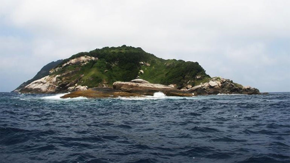 Snake Island : బాబోయ్‌.. ఆ దీవి నిండా పాములే.. అడుగు తీసి అడుగు పెట్టలేం..!