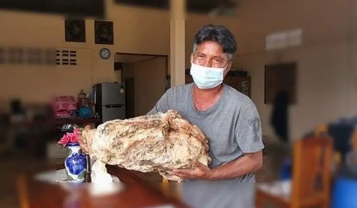 Viral News man become millionaire with whale vomiting 