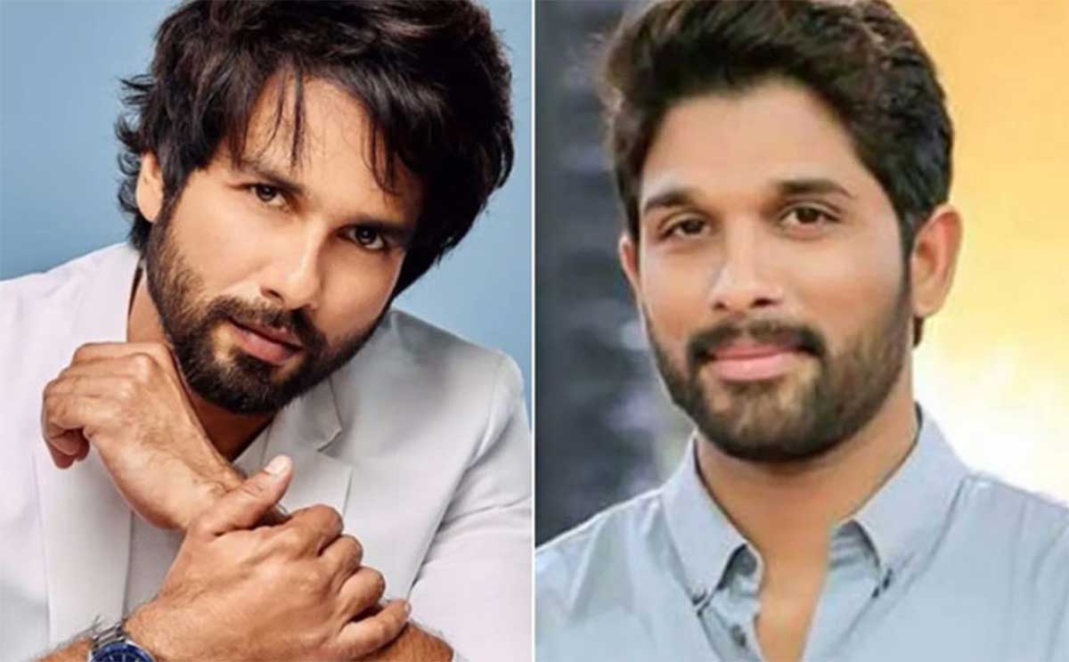 Allu Arjun and shahid kapoor multi starrer movie may be filmed 