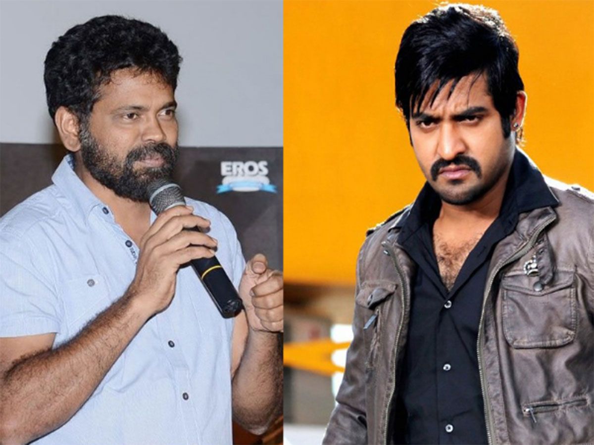 NTR given warning to sukumar know the reason 