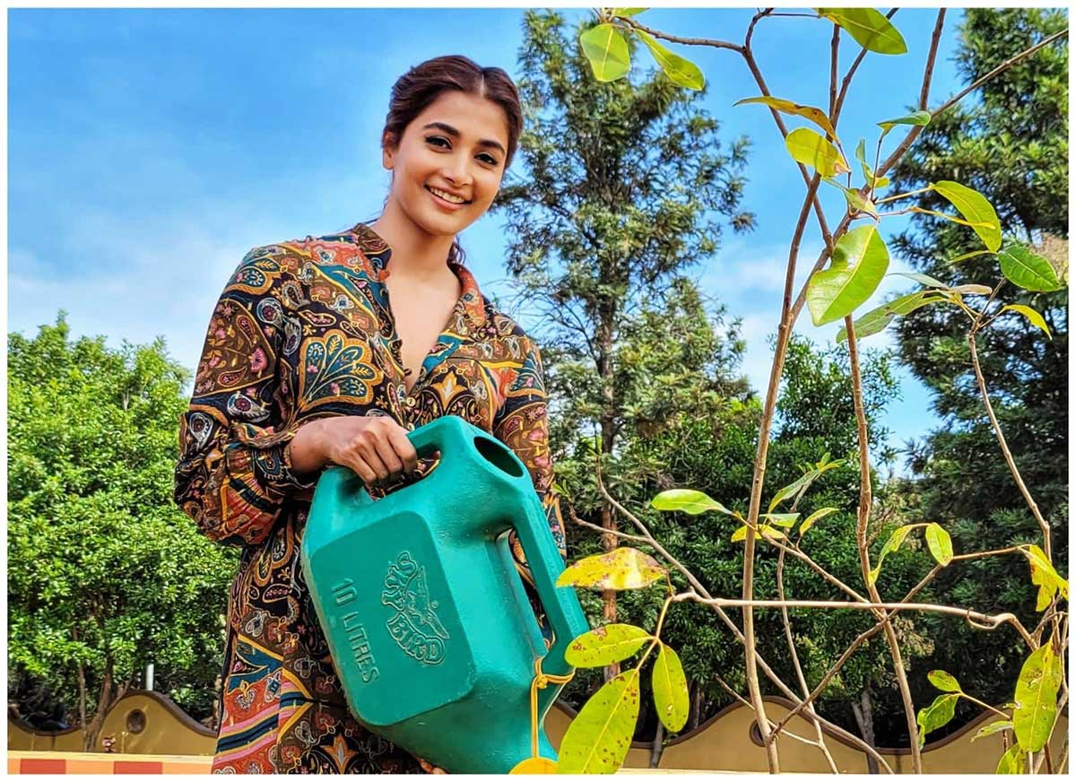 Pooja Hegde participated in green india challenge 