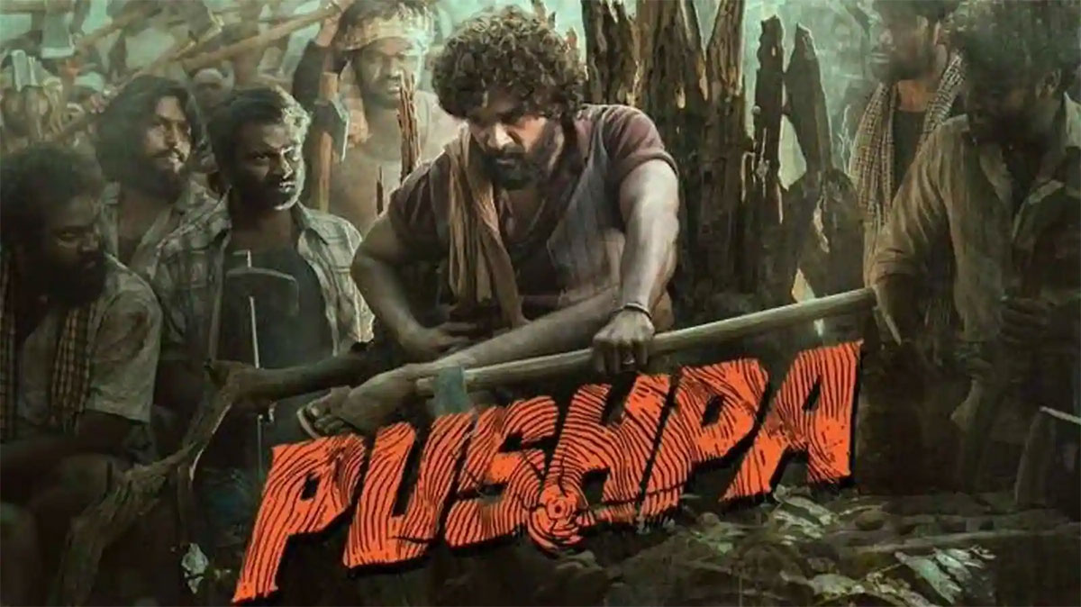 Pushpa Movie may not be released in hindi 