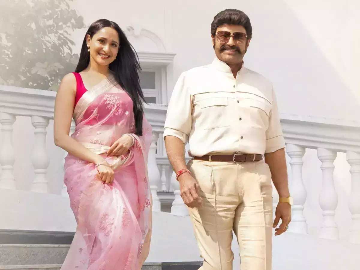 Balakrishna wig costs are very excessive in akhanda movie 