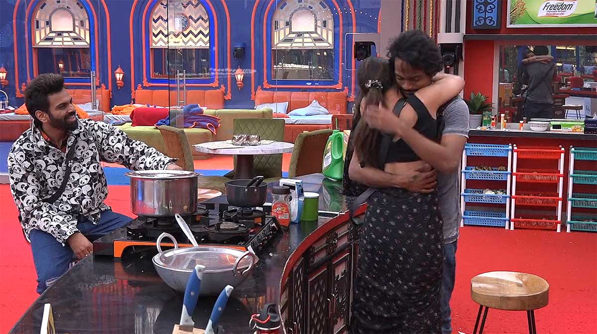 Bigg Boss 5 housemates got astrology and horoscope 