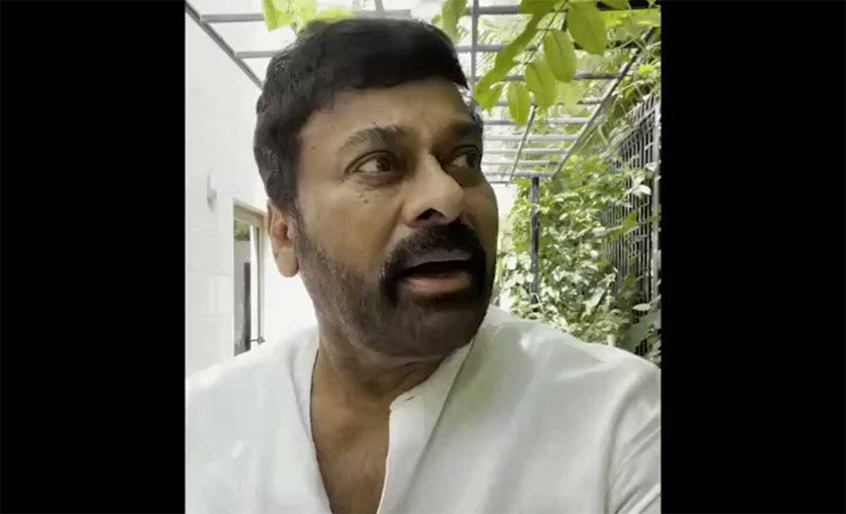Chiranjeevi done farming know what he grown 