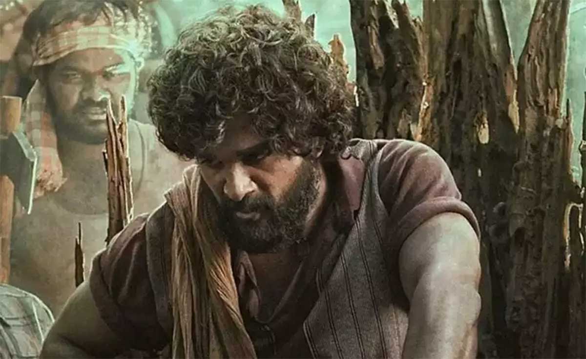 Pushpa 2 sukumar interesting comments 