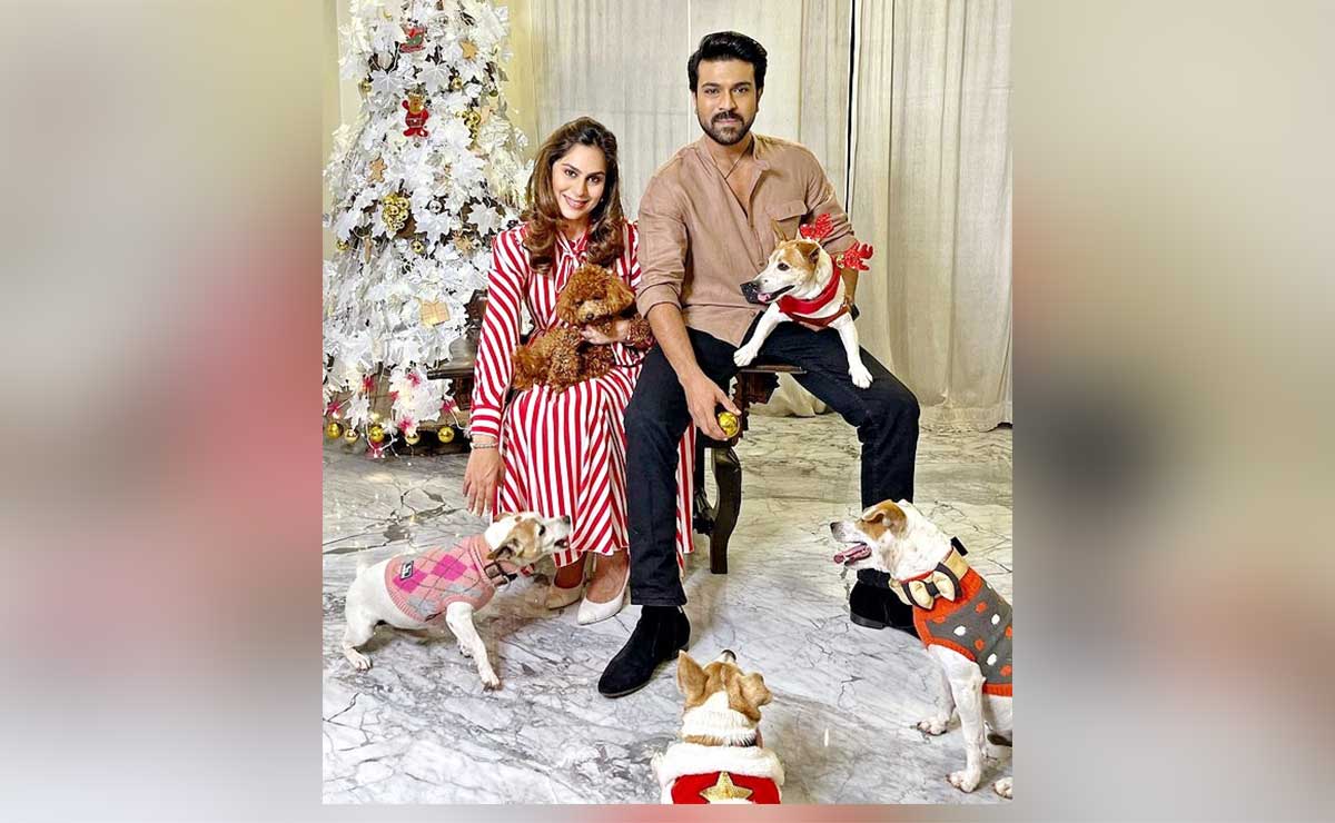 do you know the cost of dress of Upasana 