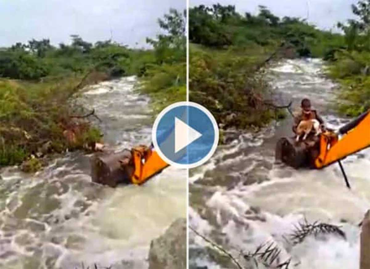 Viral Video home guard saved dogs life in flood stream  