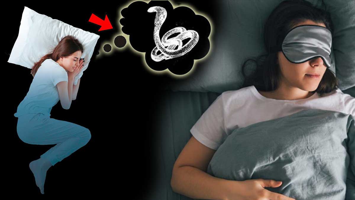 Snake In Sleep : కలలో పాములు పదే పదే వస్తున్నాయా ? దానికి అర్థం ఏమిటో తెలిస్తే షాక్ అవుతారు..! Snake In Sleep what is its meaning