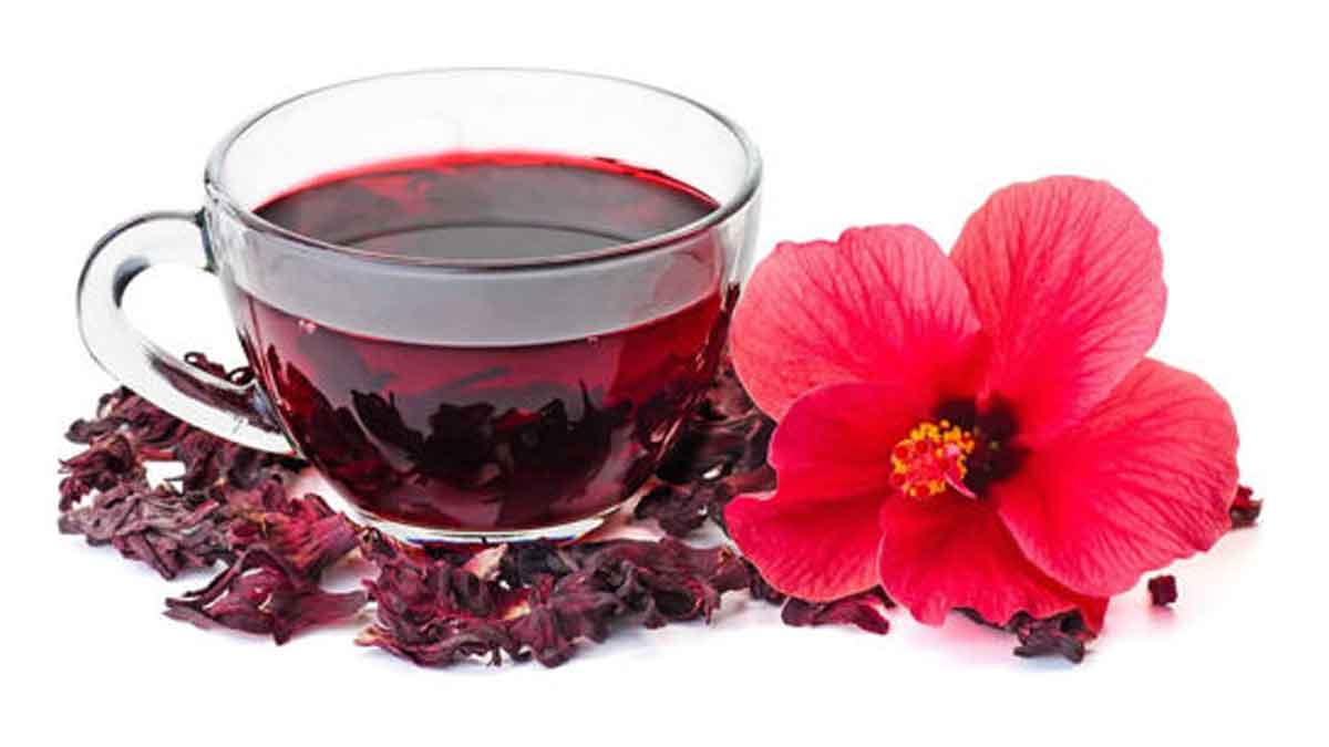 drink daily hibiscus flowers tea for these benefits 