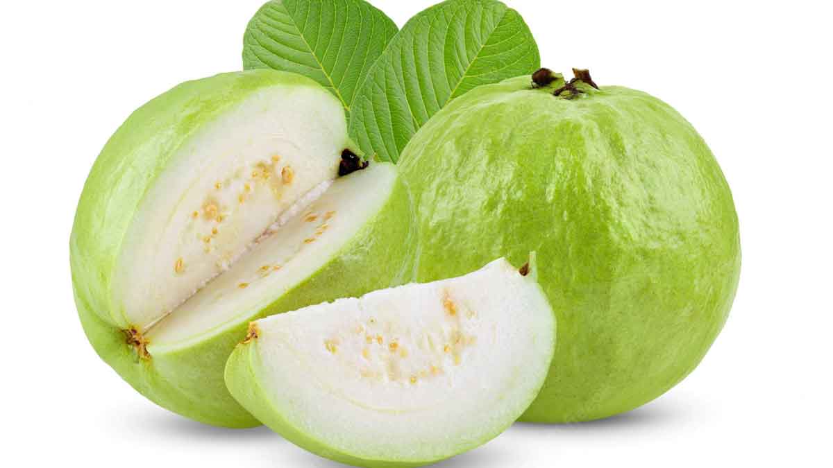 we must take guava in winter know the reasons 