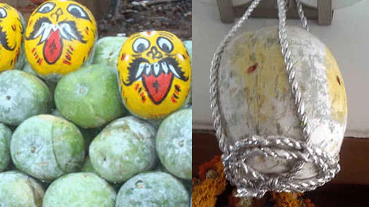what happens when budida gummadi kaya spoils 