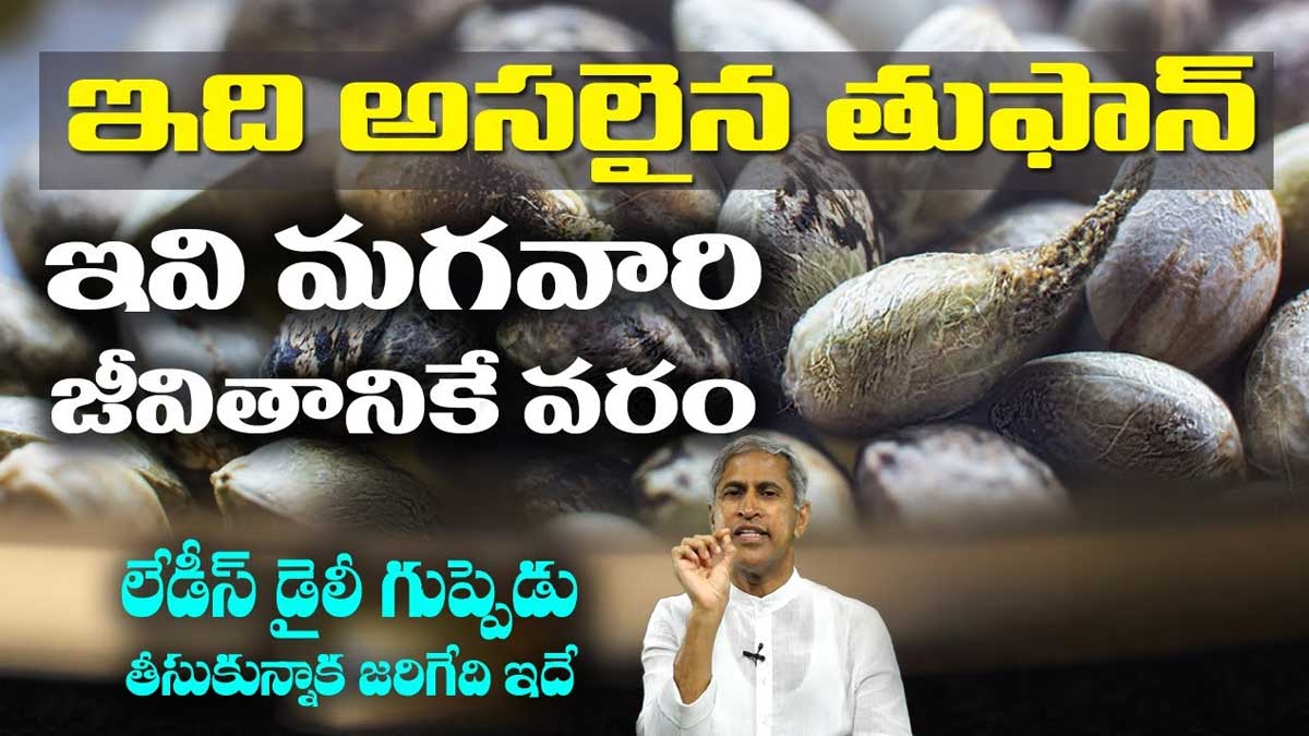 Hemp Seeds : ఇవి మగవారికి, మహిళలకు వరం.. డైలీ ఇన్ని తీసుకుంటే చాలు..! Hemp Seeds benefits must take them daily