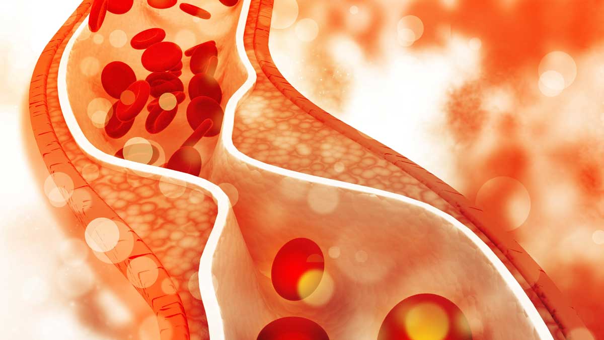 Cholesterol : రోజూ వీటిని 2 స్పూన్లు తీసుకుంటే చాలు.. కొలెస్ట్రాల్ కరిగిపోతుంది..! take these daily to reduce Cholesterol