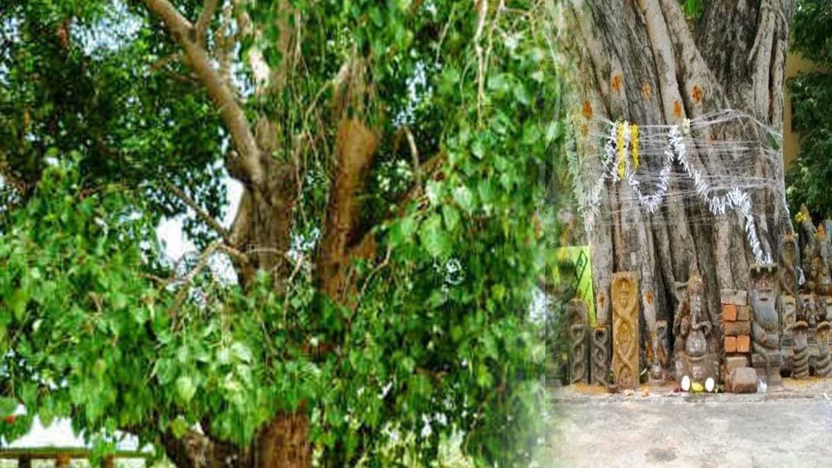 do pooja to ravi chettu like this for luck 