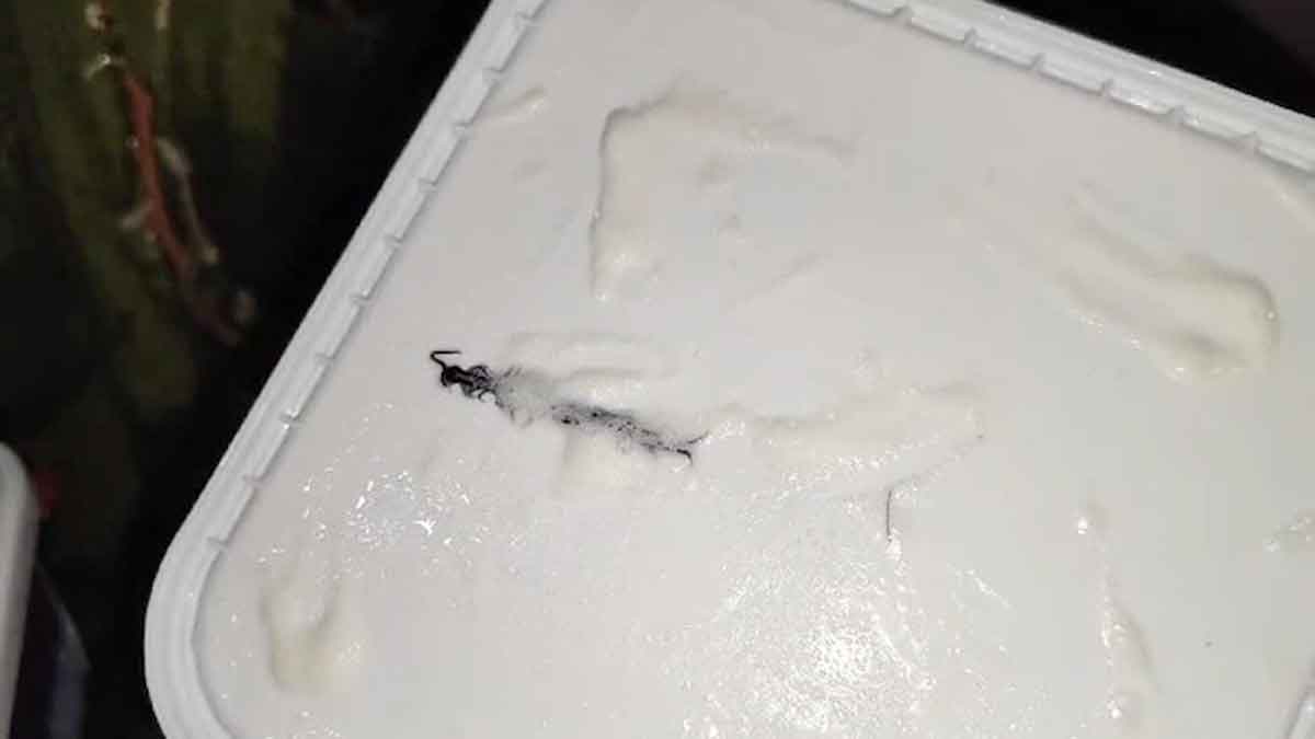 woman ordered ice cream but it has came with centipede 