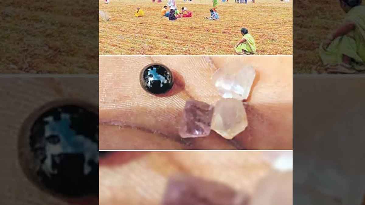 farmer found diamond in his farm at tuggali 