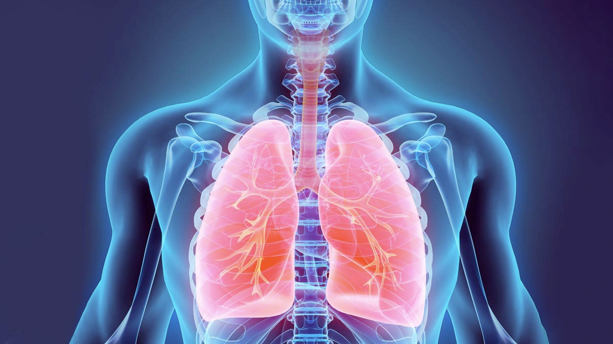 take this food to keep your lungs clean 