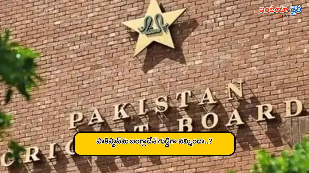 Pakistan Cricket Board PCB logo and officials