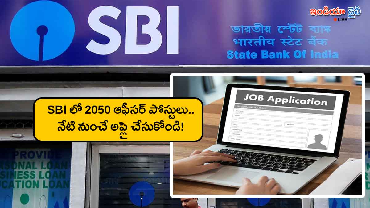 SBI Circle Based Officer Recruitment 2026 application link and details