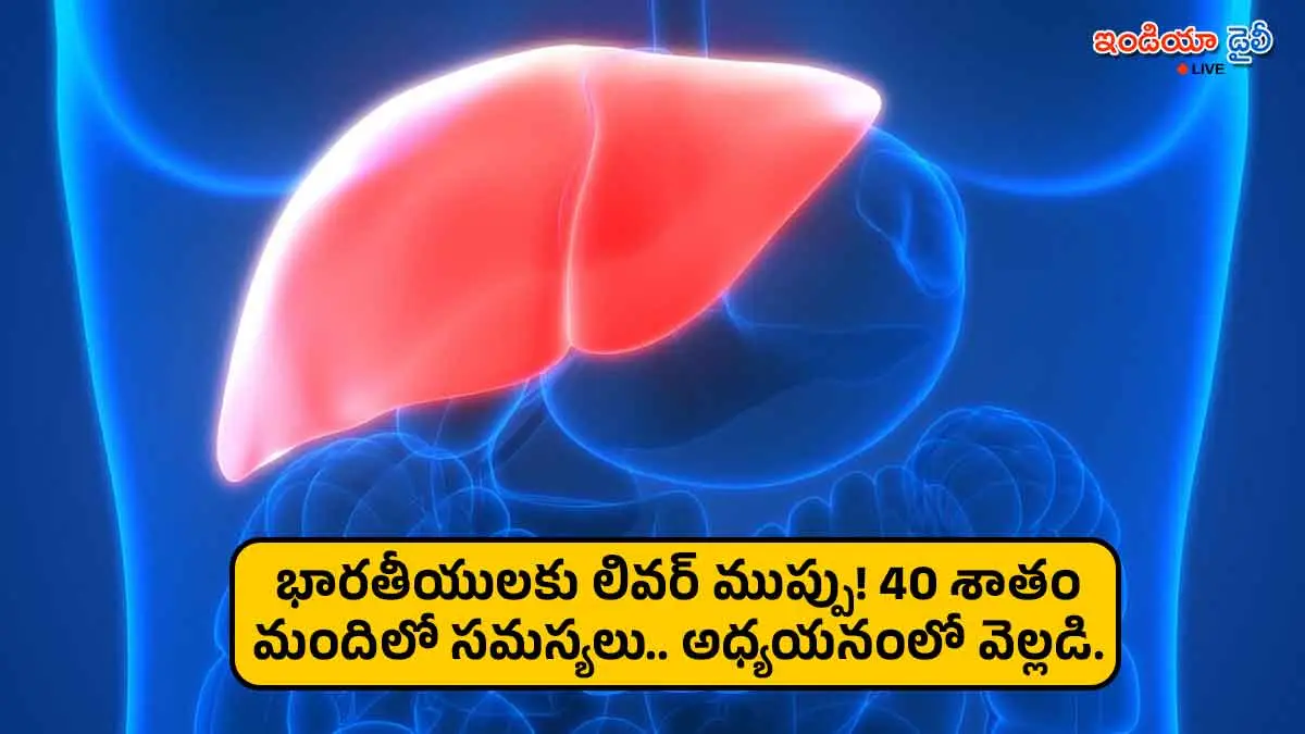 Prevalence of MASLD liver disease in India study.